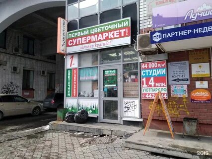 Цвет архангельск