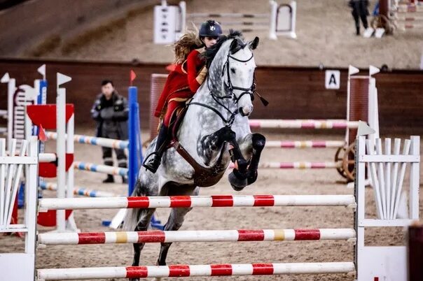 день конюшни. деревня богдарня владимирская область. музей лошади на вднх. богдарня владимирская область конюшня. конные даты.