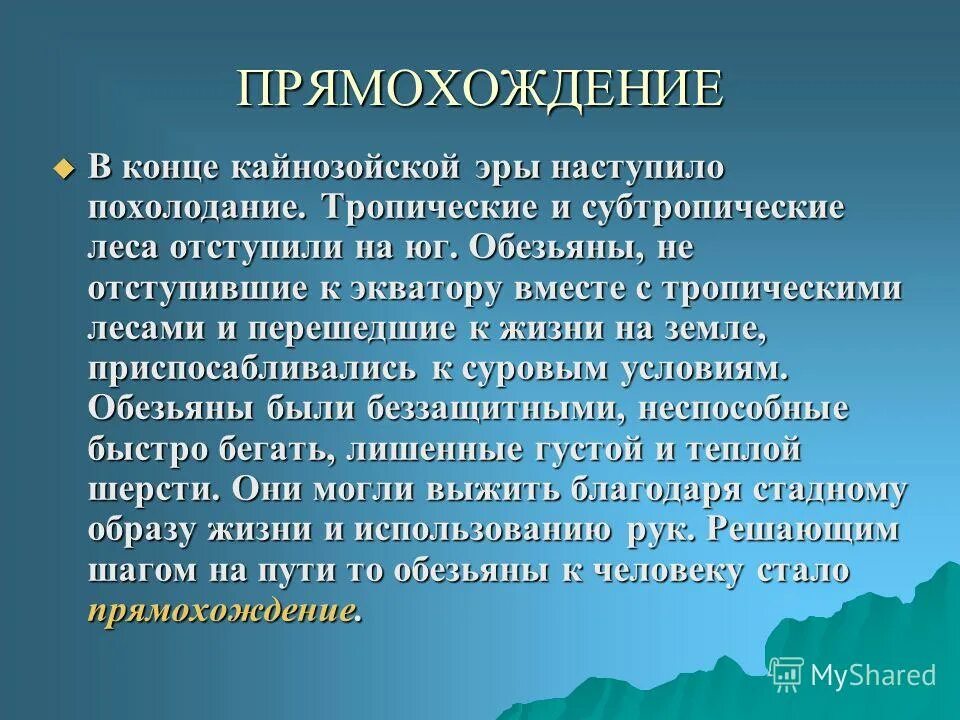 Факторы прямохождения