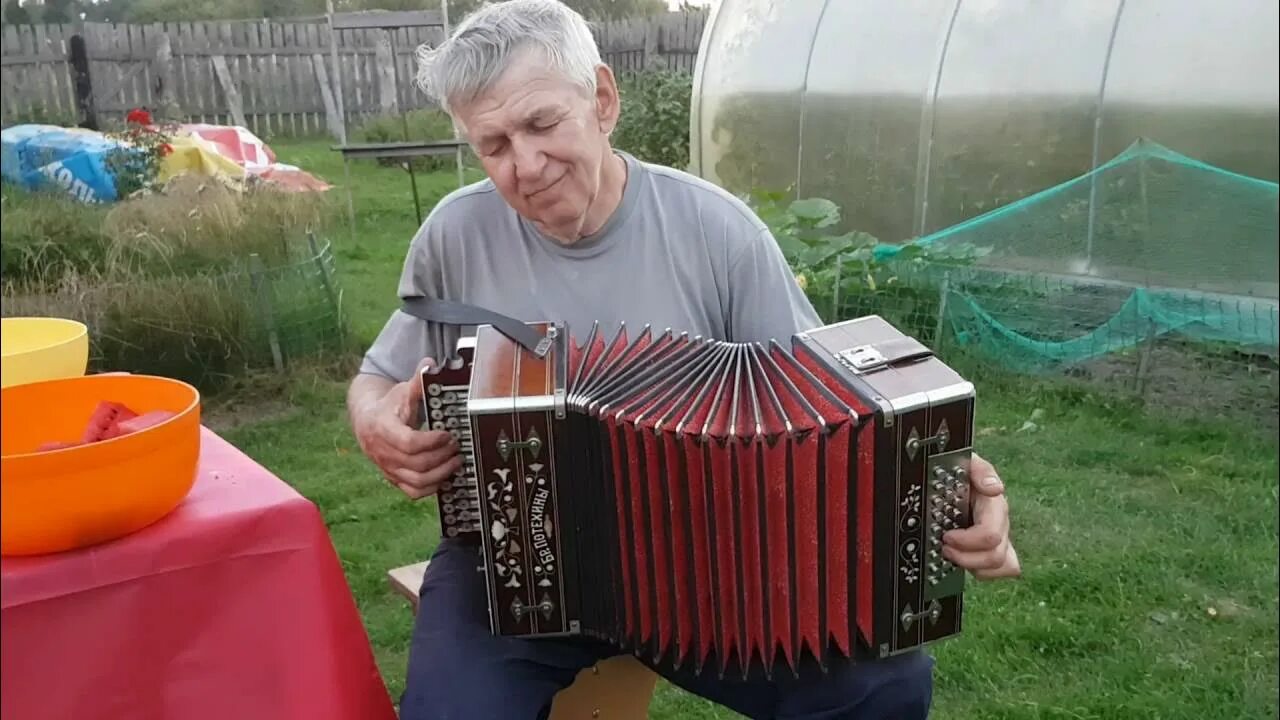 Самородки баянисты. Братья келины гармонисты мордовия. Гармонь видео самородки. Гармонь самородки. Матаня тамбовская под гармонь.