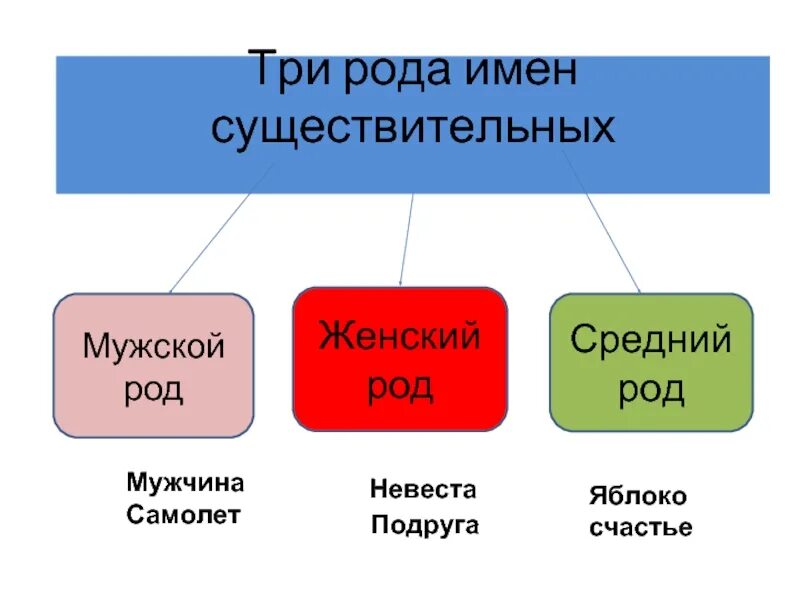 Каких двух родов были мужчины перечислите объясните. Три рода имен существительных. Мужской род имен существительных. Мужской женский средний род. Муж род жен род.