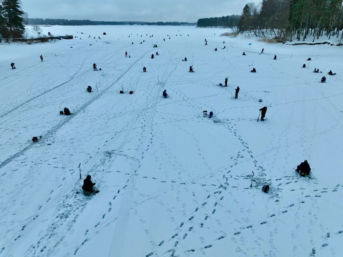 Истринское водохранилище зимой. Истринское водохранилище рыбалка зимой. Зимняя рыбалка на Истринском водохранилище места. Толщина льда на Истринском водохранилище сегодня.