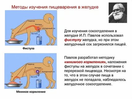Метод фистулы