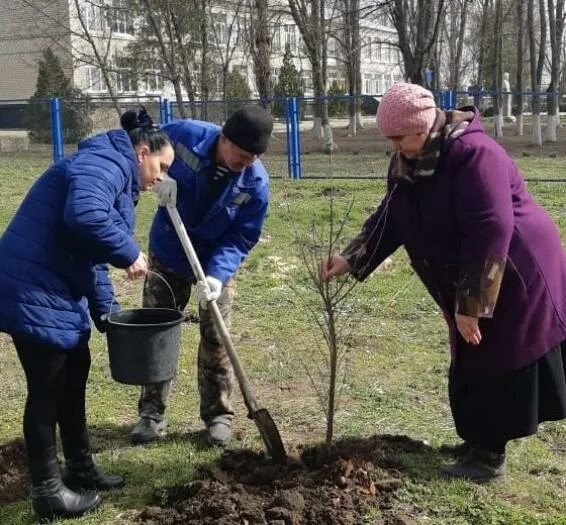 В питомнике вырастили саженцы деревьев елей было. Питомнике вырастили 25700 саженцев деревьев саженцев яблони. Питомники выросты 25700 саженцев деревьев саженцев яблонь 8580. В питомнике вырастили 25700 саженцев. Питомники выросли 25700 саженцев деревьев саженцев яблонь 8.