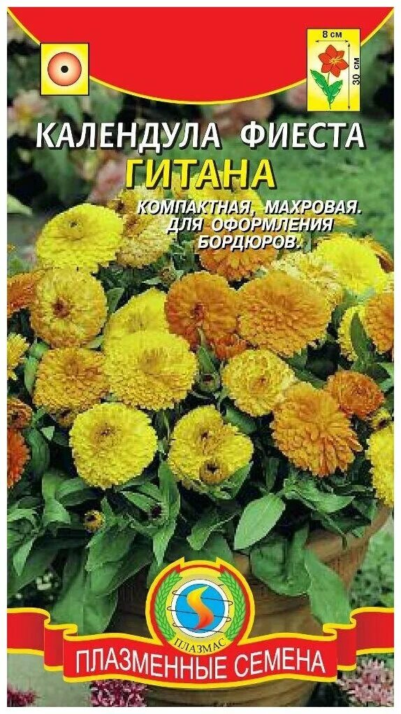 Календула фиеста. Календула фиеста гитана. Календула еллоу гитана. Календула фиеста. Календула смесь фиеста гитана.