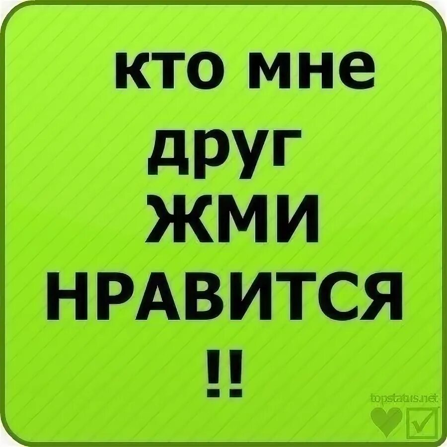 Давай до свидания фото. Коты мемы с надписями. Включи вы кто такие. Включи вы кто такие. Включи вы кто такие.