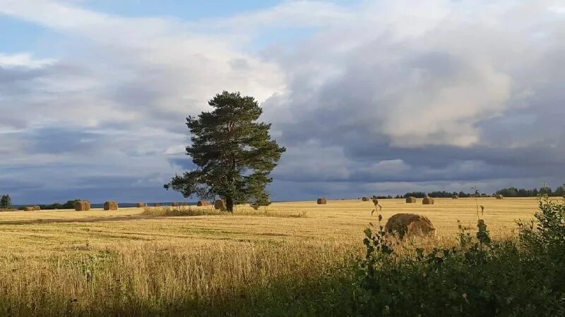 галическое заозерье 2024