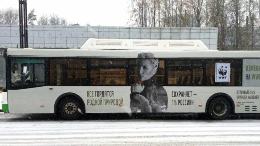 436 автобус от тушинской. Автобус 436 химки дом правительства. Камаз 5299-31-52. 436 автобус выхино садовод. 436 автобус от тушинской.