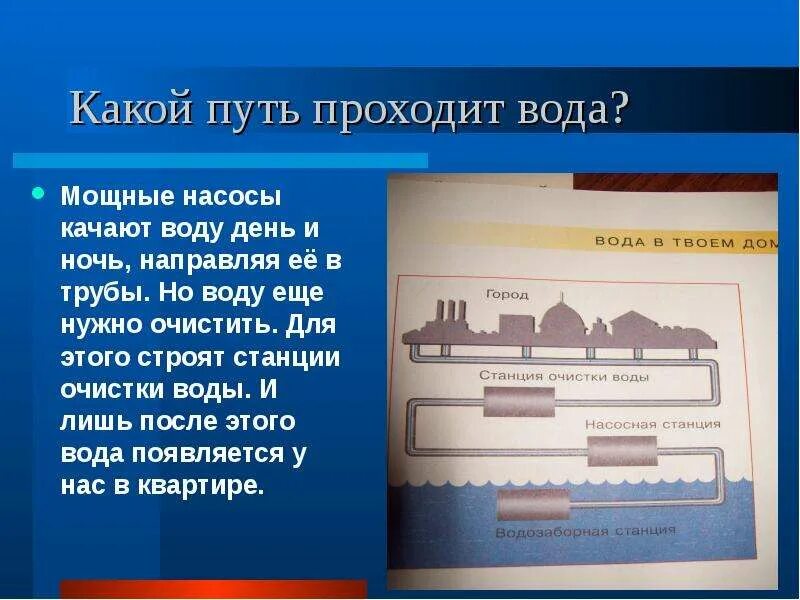 Какой путь проходит в своей