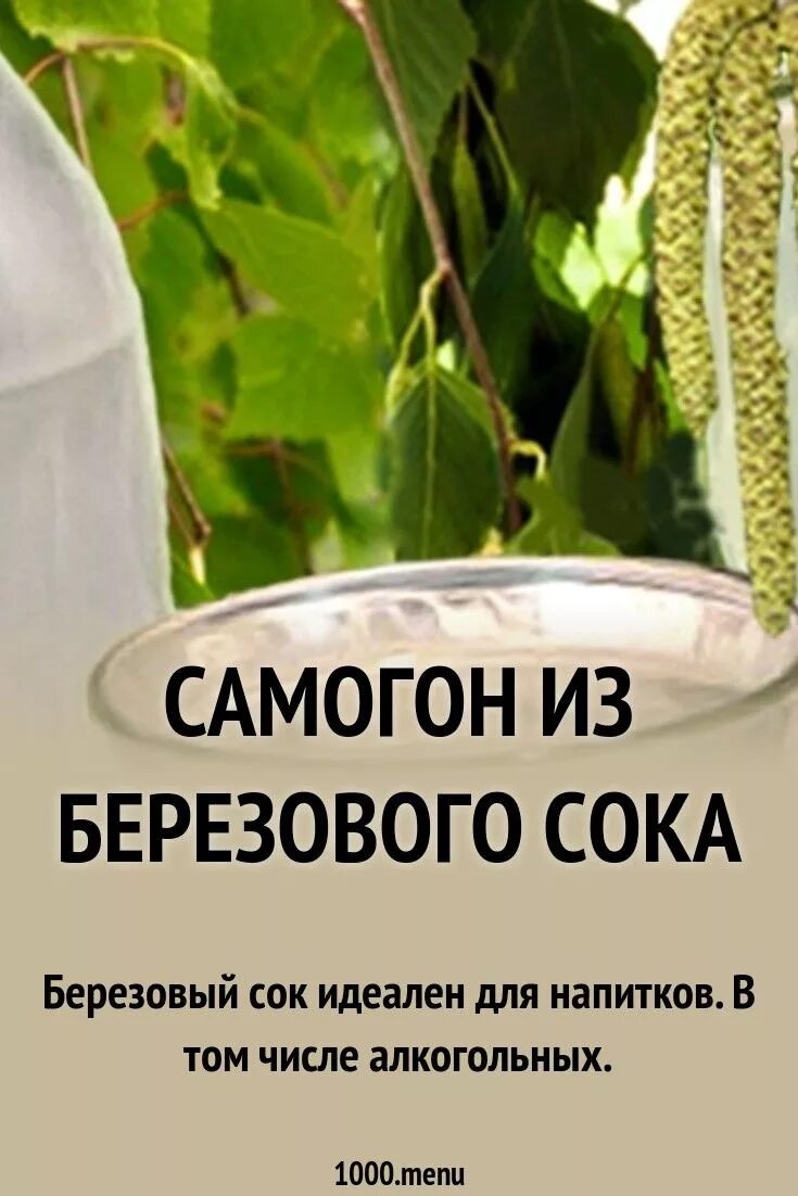 Этикетка самогон из березового сока. Берёзовый сок. Самогон на Березовом соке этикетка. Этикетка берёзовый сое.