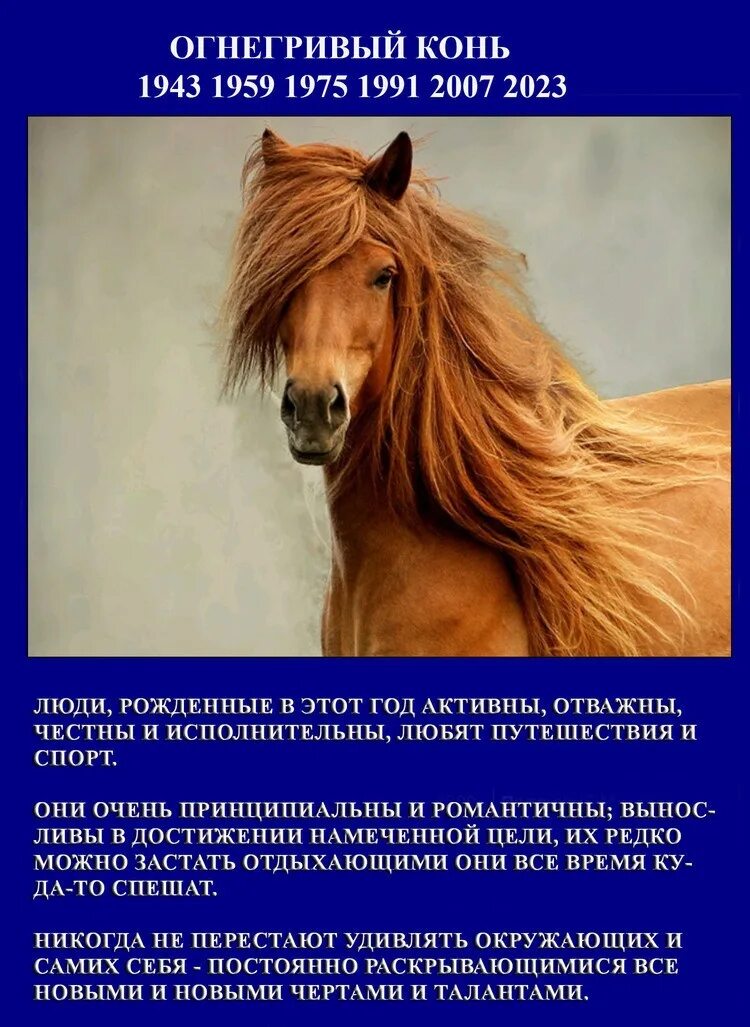 славянский годослов тотемный по годам. славянский гороскоп животных. славянский гороскоп. славянский гороскоп по годам. старославянский календарь по годам.