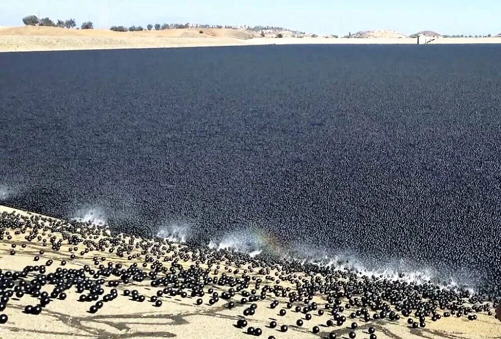 Черные шарики в водохранилище Лос-Анджелеса. Лос Анджелес водохранилище. Водохранилище в Лос Анджелесе с черными шарами. Водохранилище с шариками.
