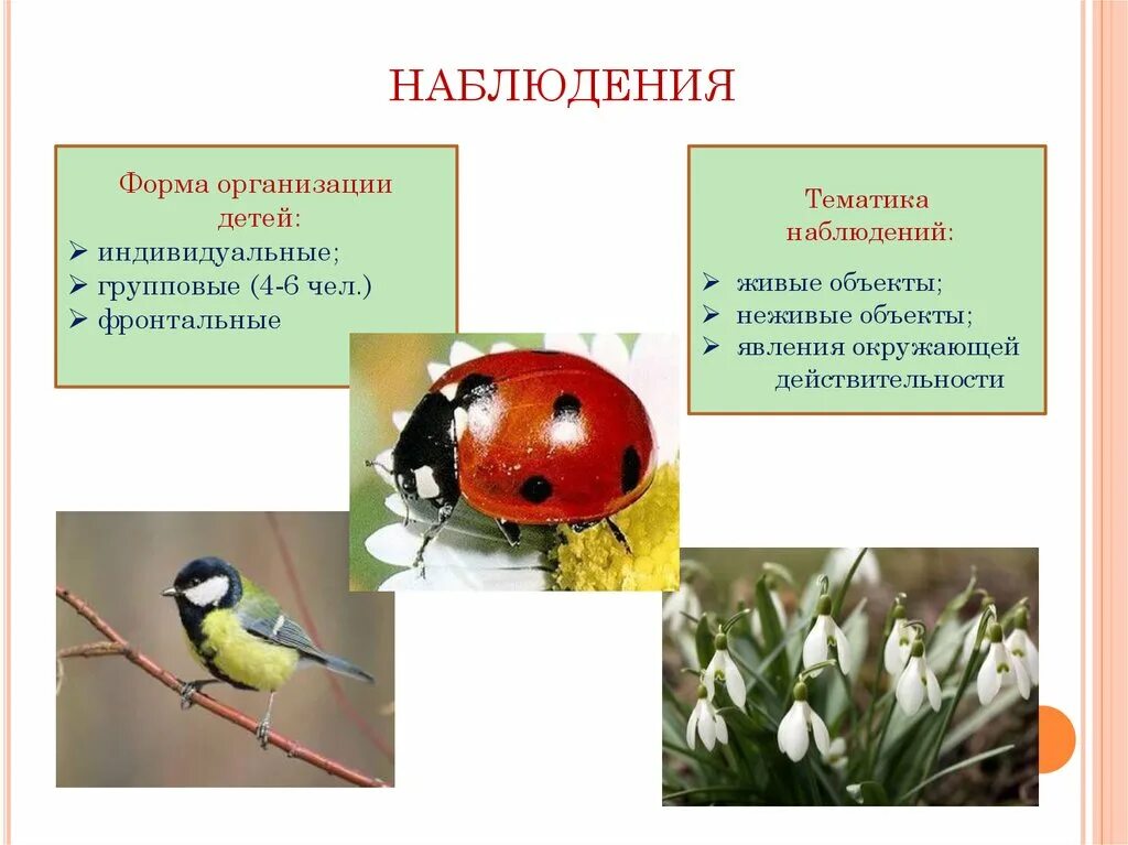 Опосредованное наблюдение - Вопросы и ответы