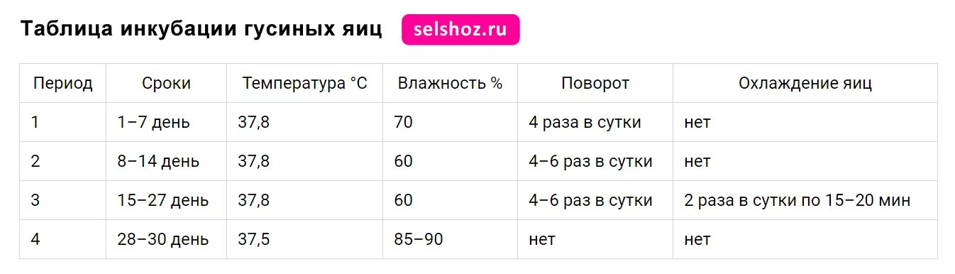 Вывод гусят в инкубаторе в домашних условиях. Таблица инкубации гусиных яиц в инкубаторе Несушка. Режим инкубации гусиных яиц таблица. Температура инкубации гусиных яиц таблица. Таблица вывода гусят в инкубаторе Несушка.