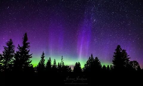 Aurora purple