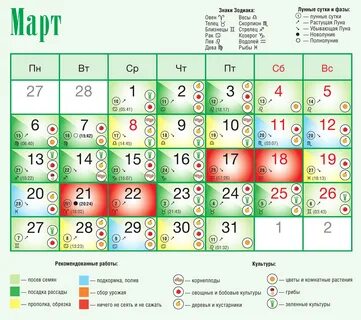 Лунный календарь стрижек на февраль года. 