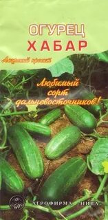 Огурец хабар описание