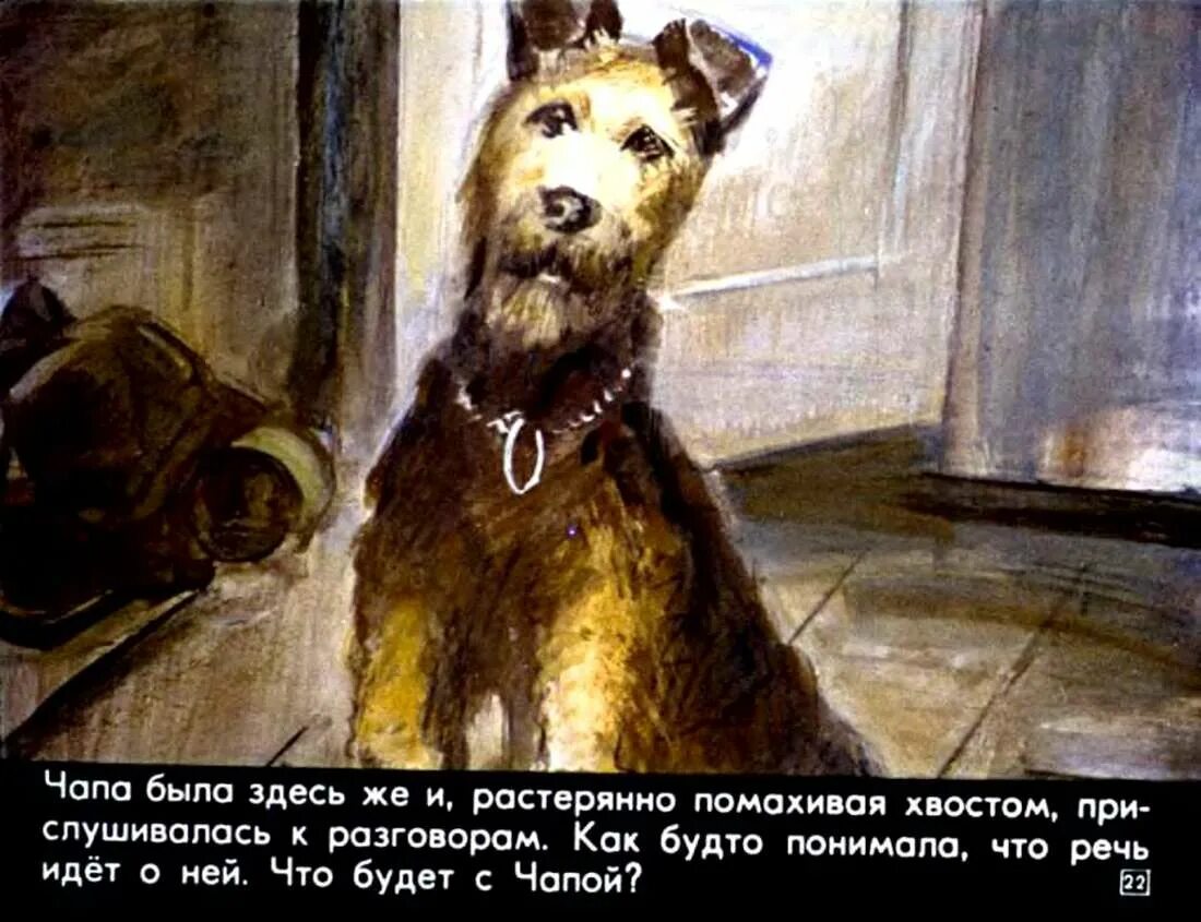 Как называется песня чапа чапа. Чапа рисунок. Собака Чапа СССР. Рисунок к рассказу мой друг Чапа.