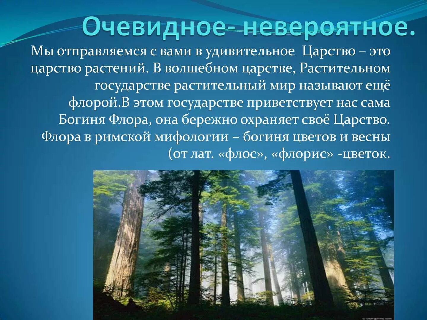 Сложная очевидная. Очевидное невероятное. Очевидное невероятное логотип. Интересные научные факты презентация. Очевидное невероятное факты и доказательства.