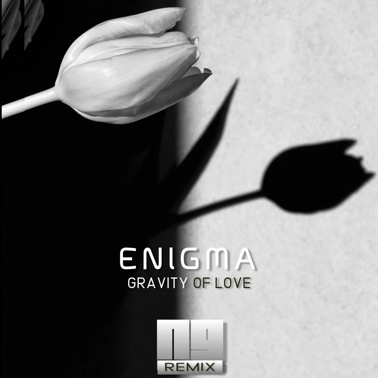 Enigma remix mp3. Enigma - Gravity of Love 1999. Гравити оф лав Энигма. Gravity of Love Enigma треки. Enigmatic Graves.