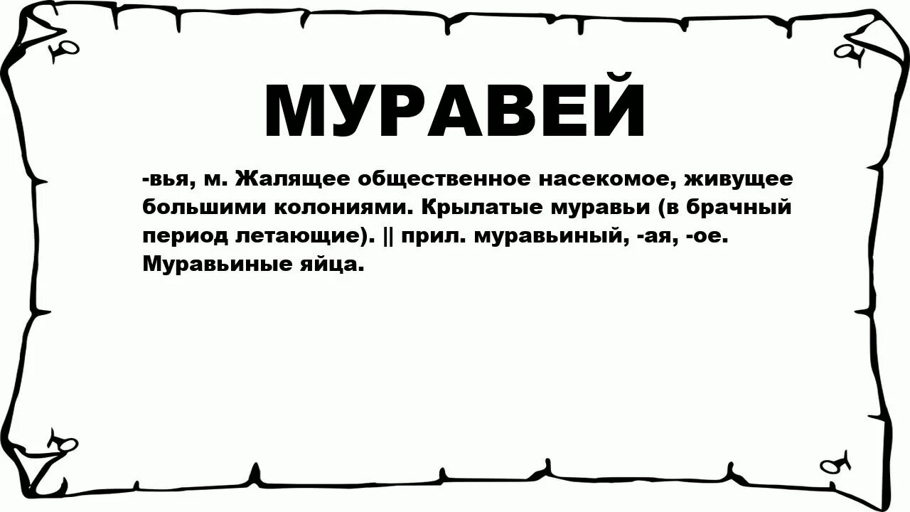 Доклад о муравьях 3 класс по литературе. Иерархия муравьев. Происхождение слова муравей. Происхождение слова муравей. Какую пользу приносят муравьи.