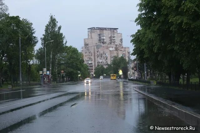 Прогноз сестрорецк. Прогноз сестрорецк