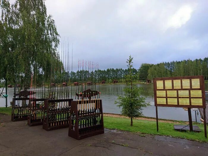 Рыболовное хозяйство «поливаново». Золотой сазан бутурлиновка. Золотой сазан поливаново. Золотой сазан бузланово. Золотой сазан на симферопольском шоссе.