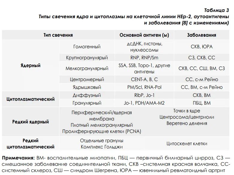 Тип свечения анф. Ядерный тип свечения ac-2.4. антинуклеарные антитела типы свечения. ядерный тип свечения анф. антинуклеарный фактор ядерный гранулярный тип свечения ac-2.4.