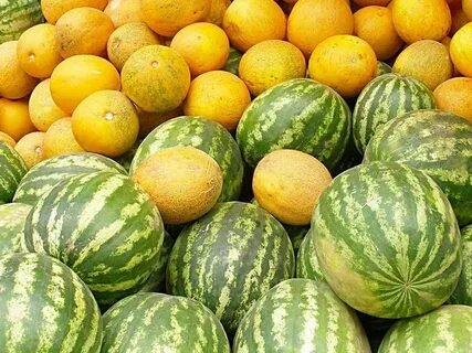Бахча арбузы дыни