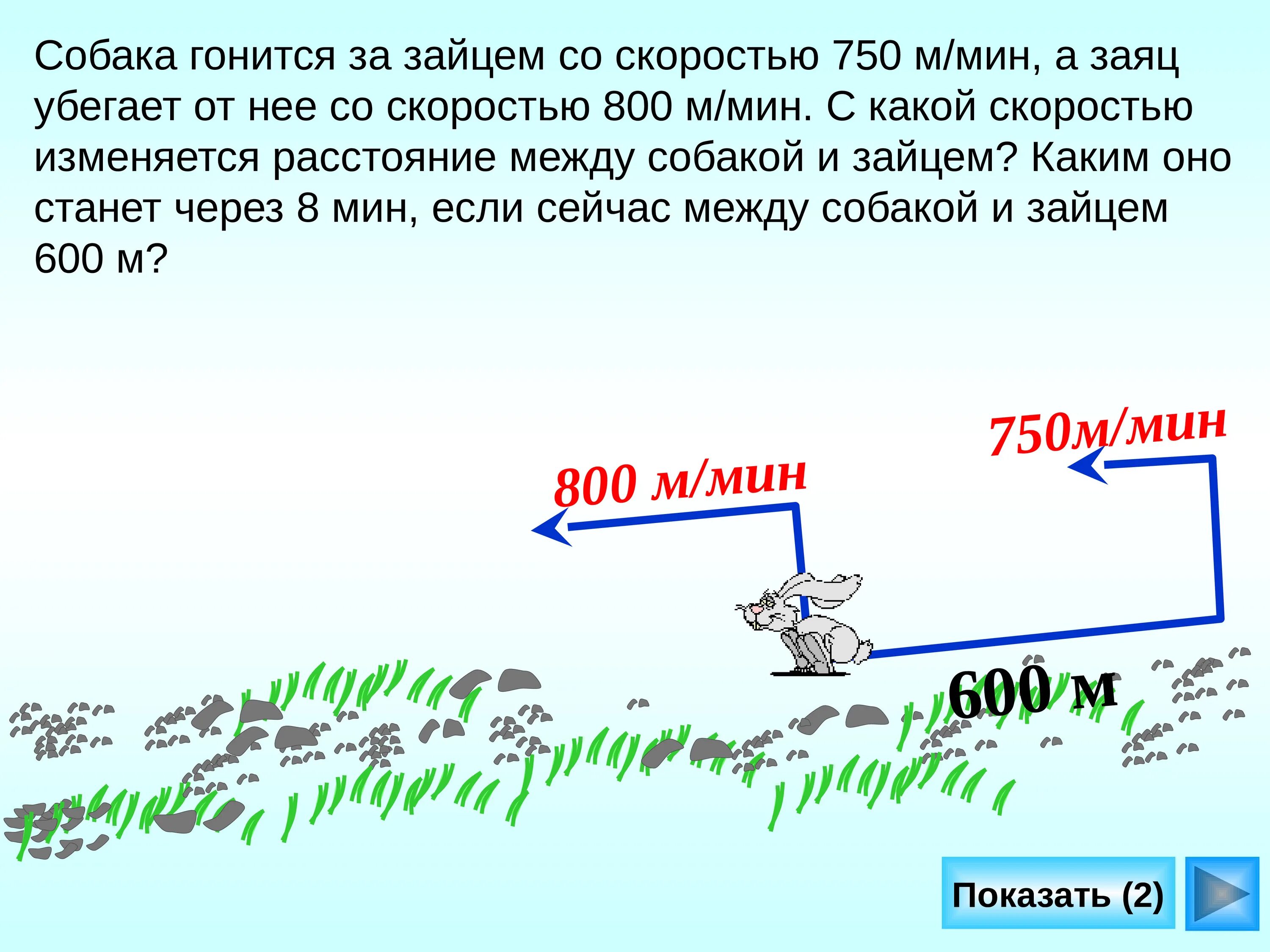 Волк км час. Задача собака погналась за зайцем. Собака гонится за зайцем. Задачи на движение. Заяц бежит со скоростью.