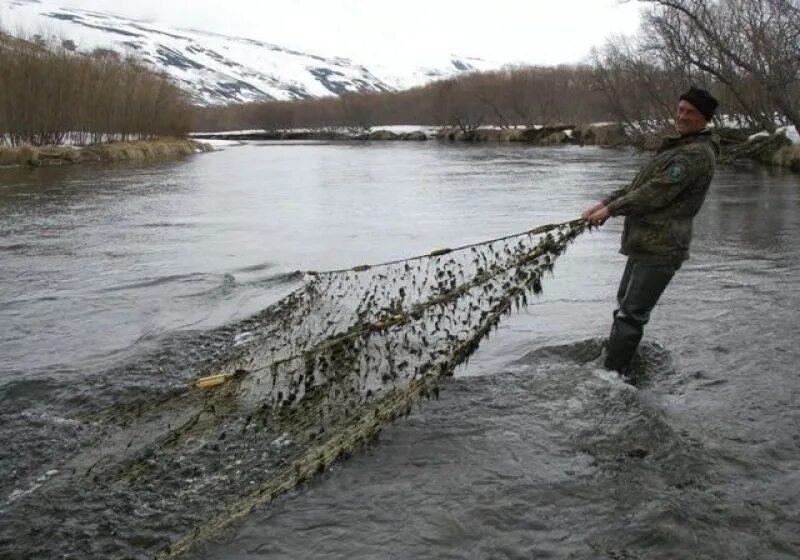 Рыбалка сетью на реке. Сеть для рыбалки. Ловля сетями. Сеть рек. Сеть для ловли рыбы.