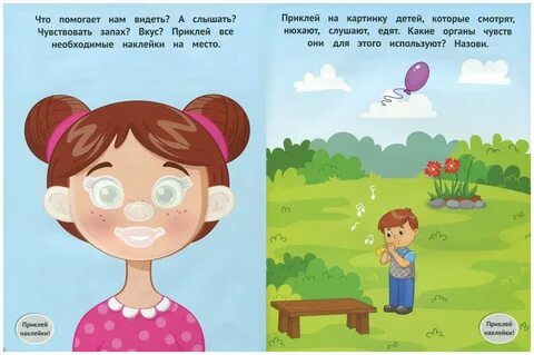 Видеть слышать осязать