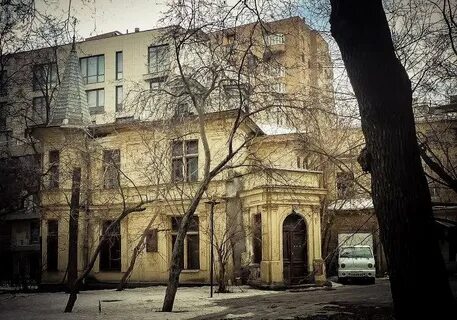Дом профессора снегирева