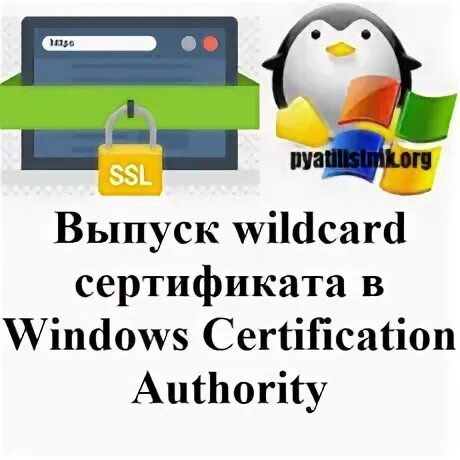 Wildcard-сертификат. Wildcard сертификат Exchange 2016. Wildcard сертификаты. Особенности?. Как выглядит Wildcard Certificate.