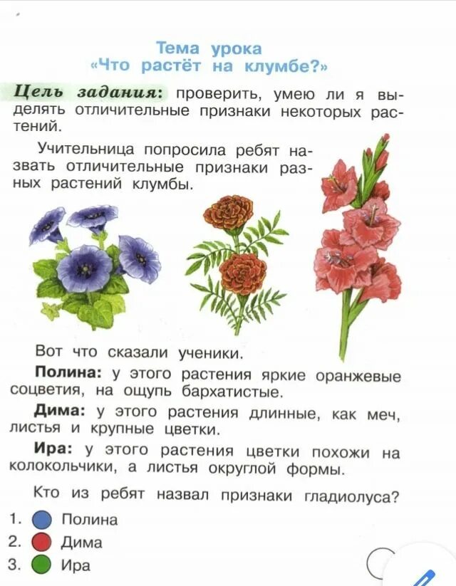 Что растёт на клумбе интересные задания. Что растет на клумбе задания. Что растет на клумбе задания. Задача на 1 клумбе. Задача на 1 клумбе.