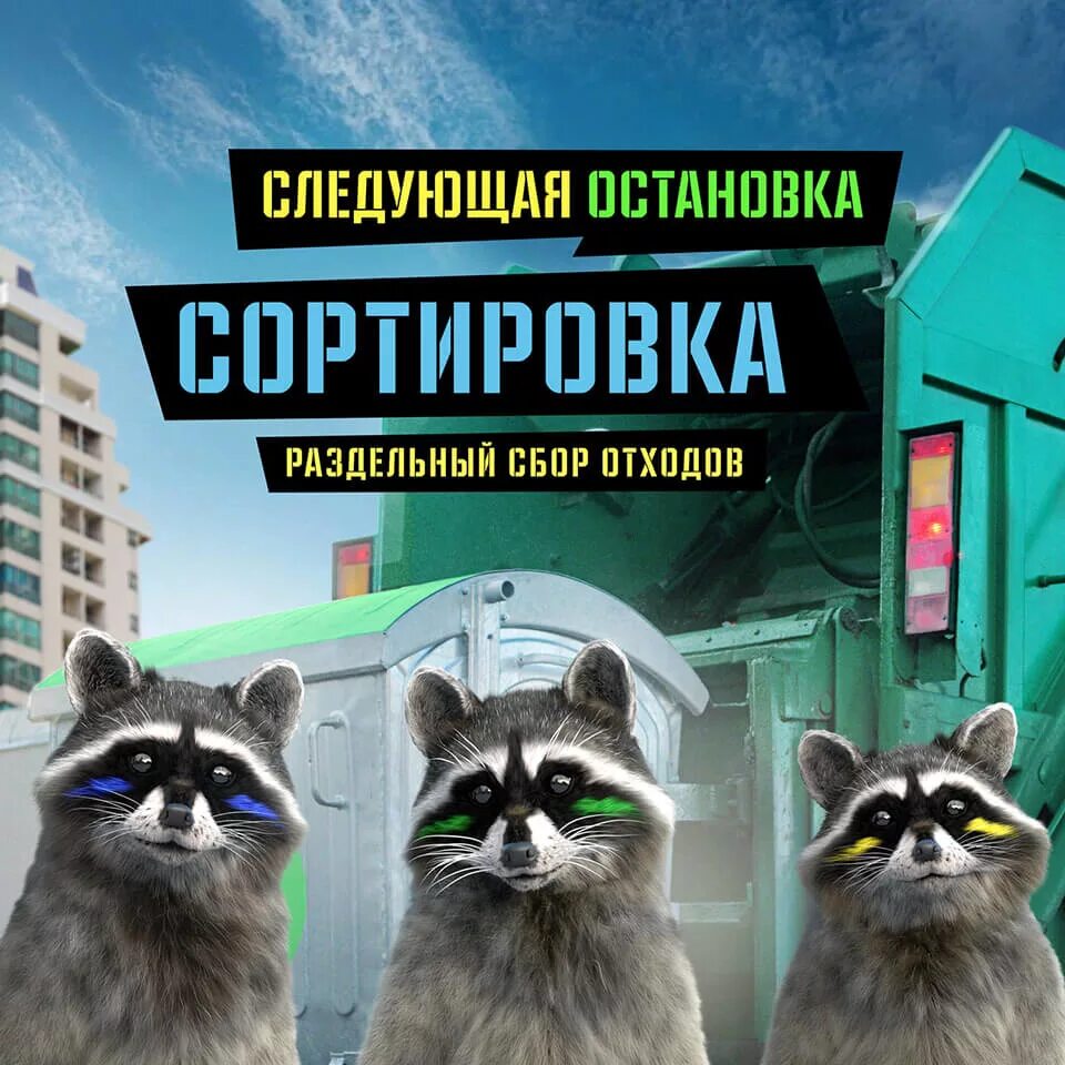 Енот реклама. Реклама енота в Белоруссии. Сортируй отходы еноты. Звери остановились
