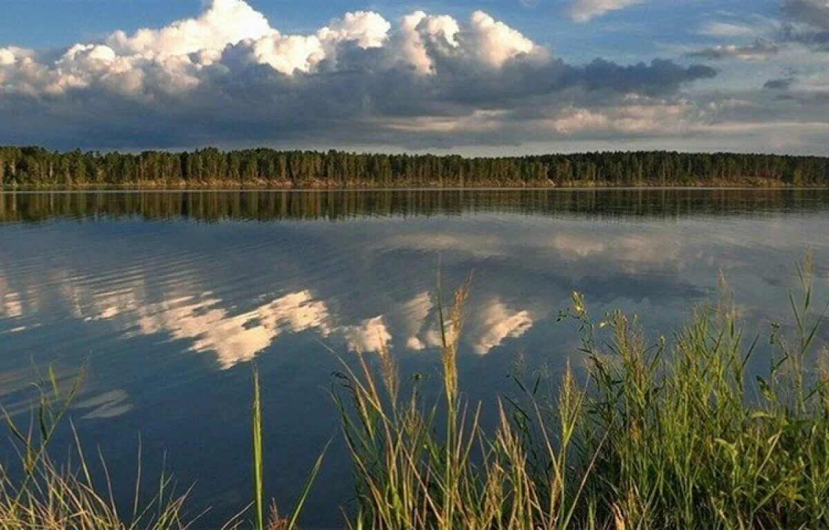 Завьяловский район алтайский край озеро. Озеро Завьялово Алтайский. Озеро Завьялово Алтайский край. Завьяловские озера Алтайский край. Солёное озеро в Алтайском крае Завьялово.