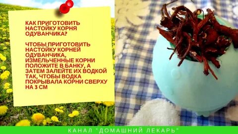 Как правильно настаивать корни