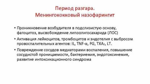 Назофарингит форма менингококковой инфекции