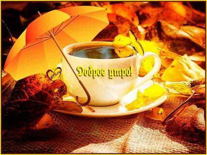 Доброе утро!Хорошего дня!