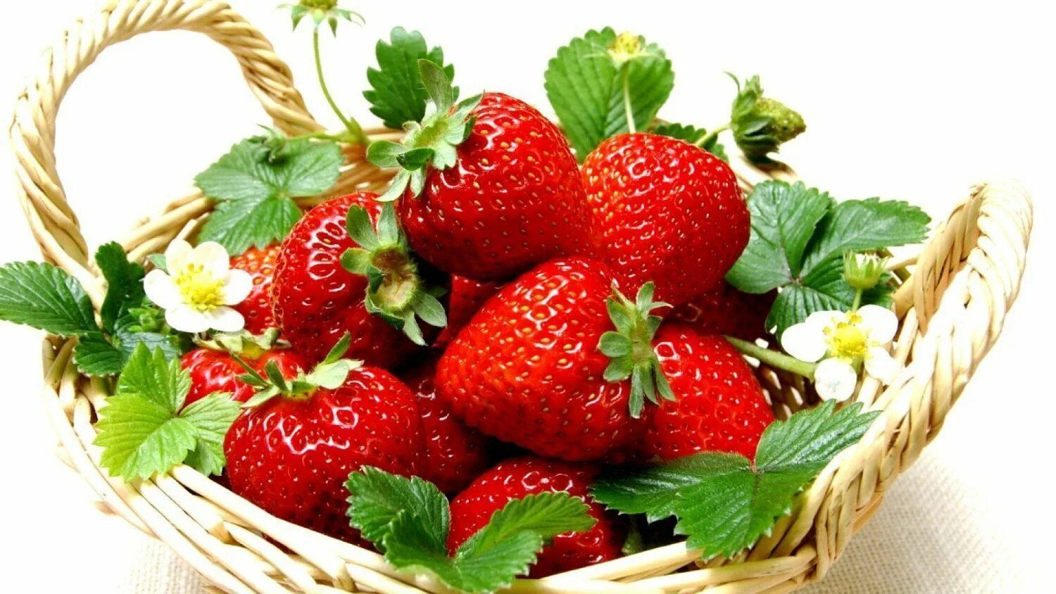 Клубника для женщин. Девушка с клубникой. Сочная клубника. Женщина с клубникой. Синяя клубника.