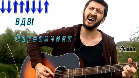 Одуванчики на гитаре