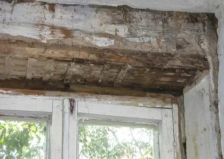 Неотапливаемое помещение в зиму
