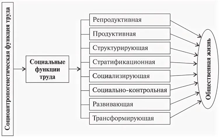 Какая роль труда в современном обществе. Функции труда. Социальные функции труда. Социология труда схема. Роль труда схема.