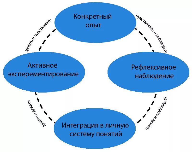 Опыт определяет модель. Цикл обучения колба. Модель колба в обучении взрослых. Модели обучения взрослых. Модель д. колба.