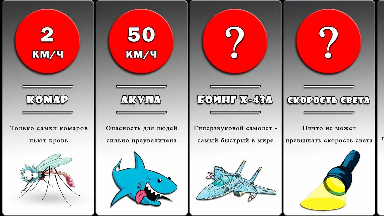 Какой самый медленный человек. Сравнение скорости. Самый медленный человек в мире скорость. Самая быстрая скорость во Вселенной. Максимальная скорость во Вселенной.