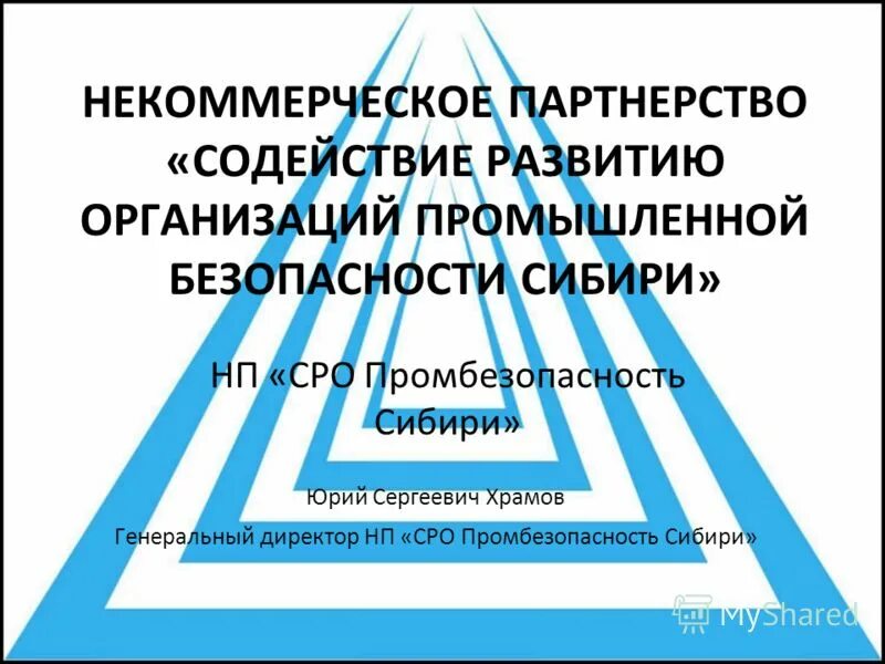 некоммерческое партнерство содействие