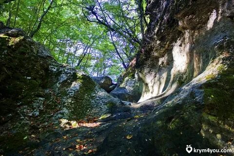 Кок асан