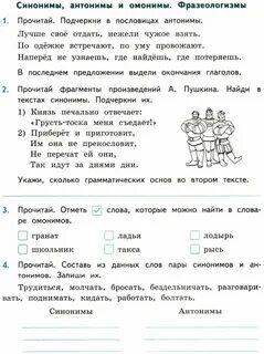 Синонимы антонимы и омонимы фразеологизмы проверочная работа