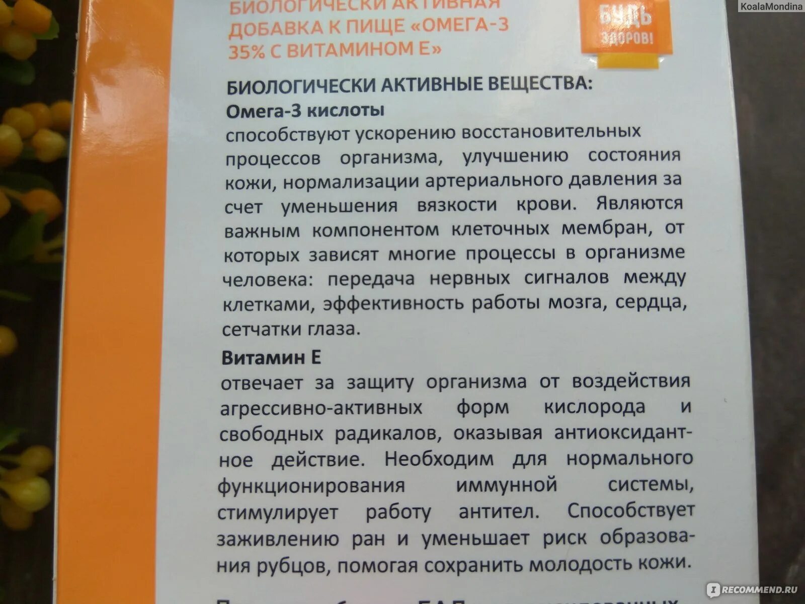 Можно ли принимать витамин д с омегой